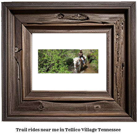 trail rides near me in Tellico Village, Tennessee